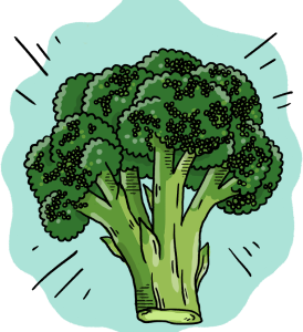 Italian Sprouting Broccoli Seeds + how-to-grow video