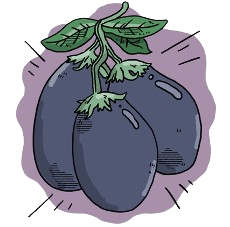 Black Beauty Eggplant Seeds + how-to-grow video