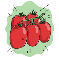 How to grow Tomato Roma