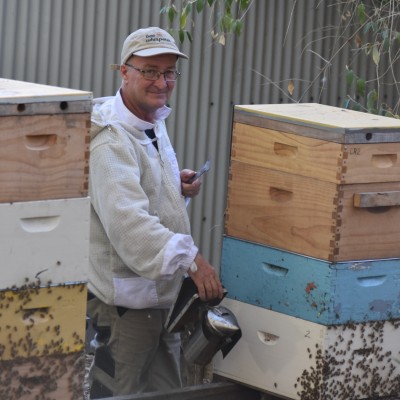 Make your garden a haven for bees!