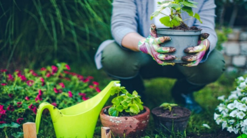 Person gardening with pots and watering can