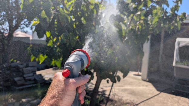 Hand watering garden with hose sprayer